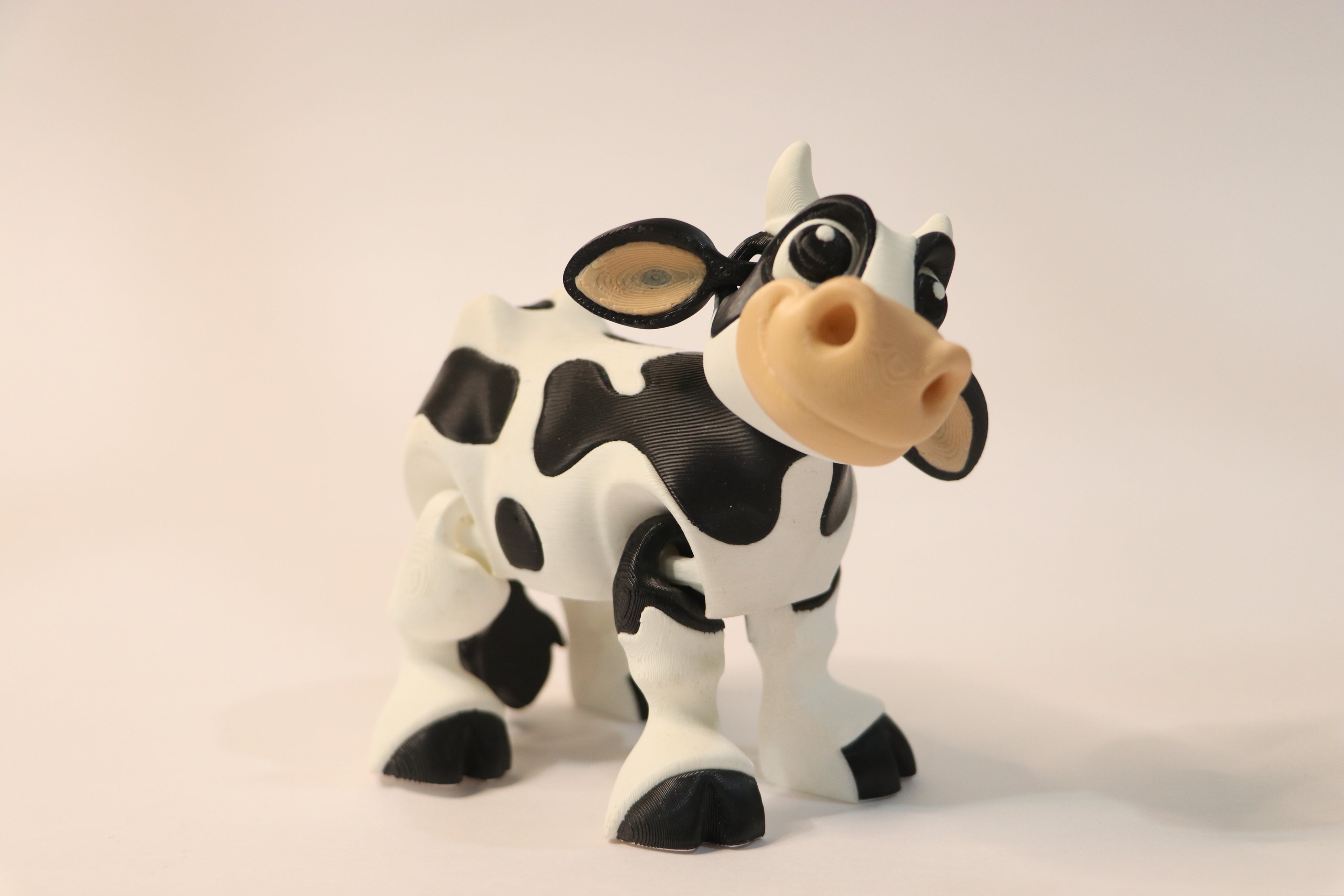 Jersey cow