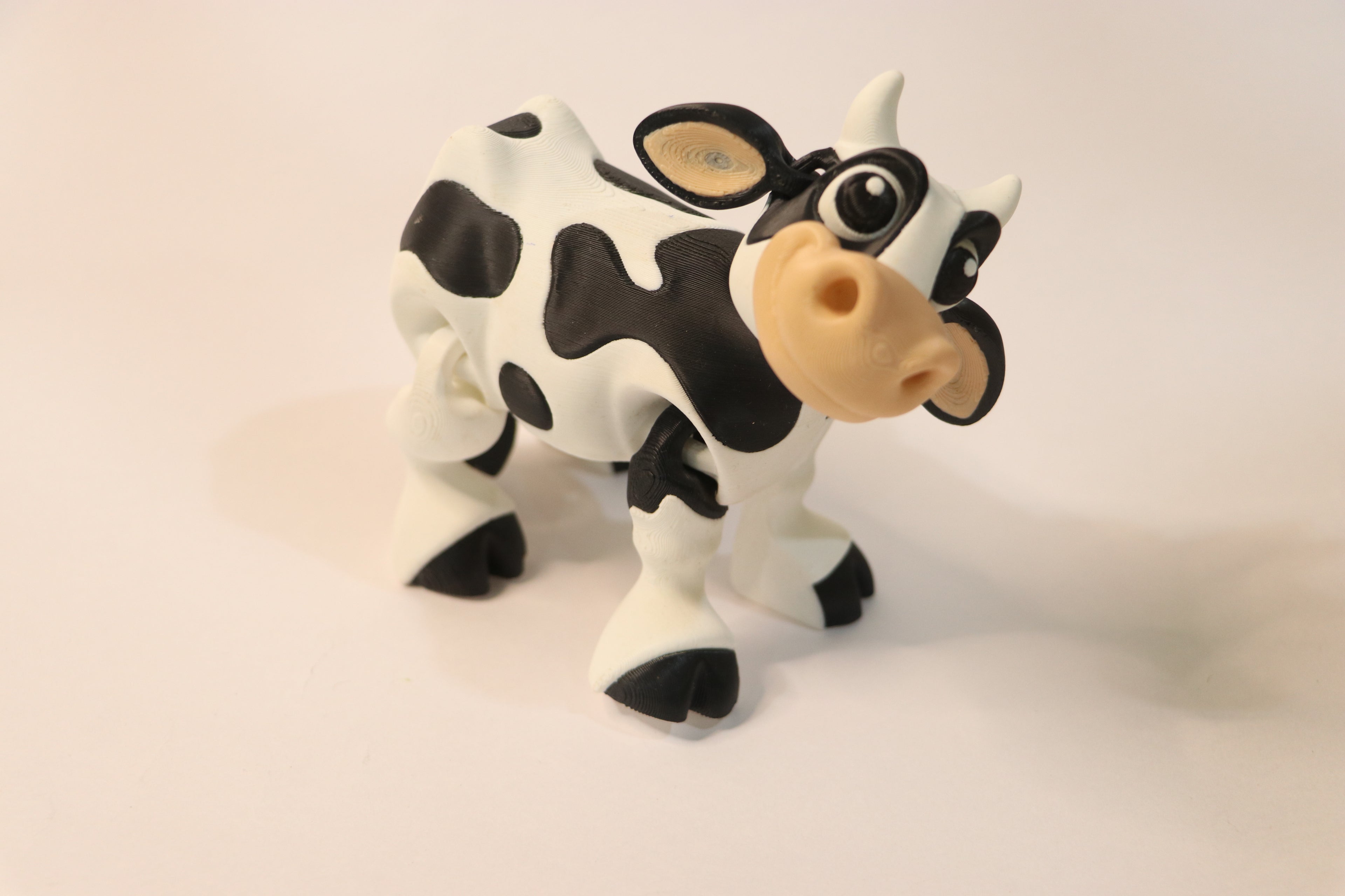 Jersey cow