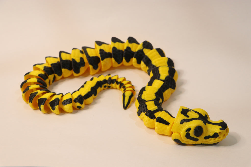 Ball Python