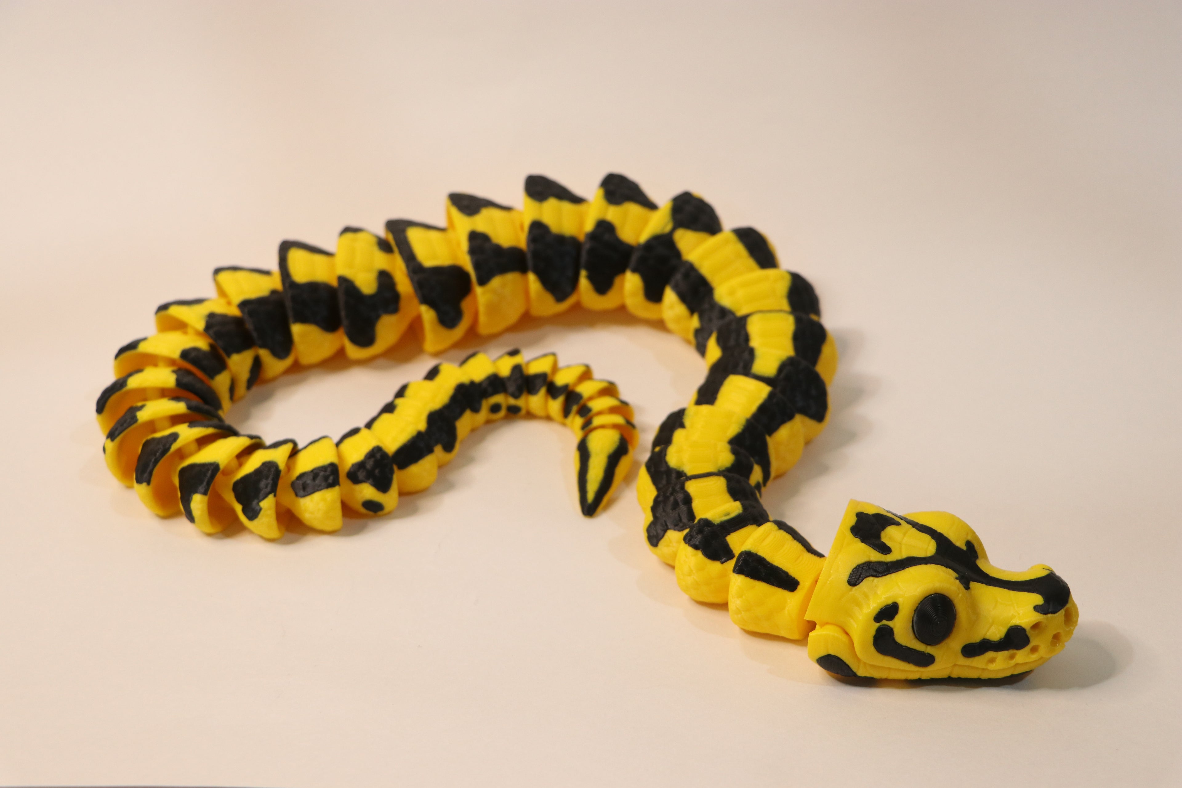 Ball Python