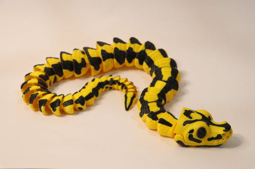 Ball Python