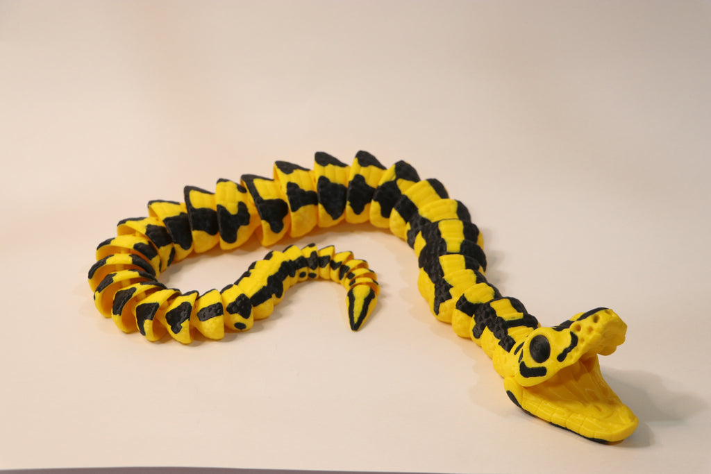 Ball Python