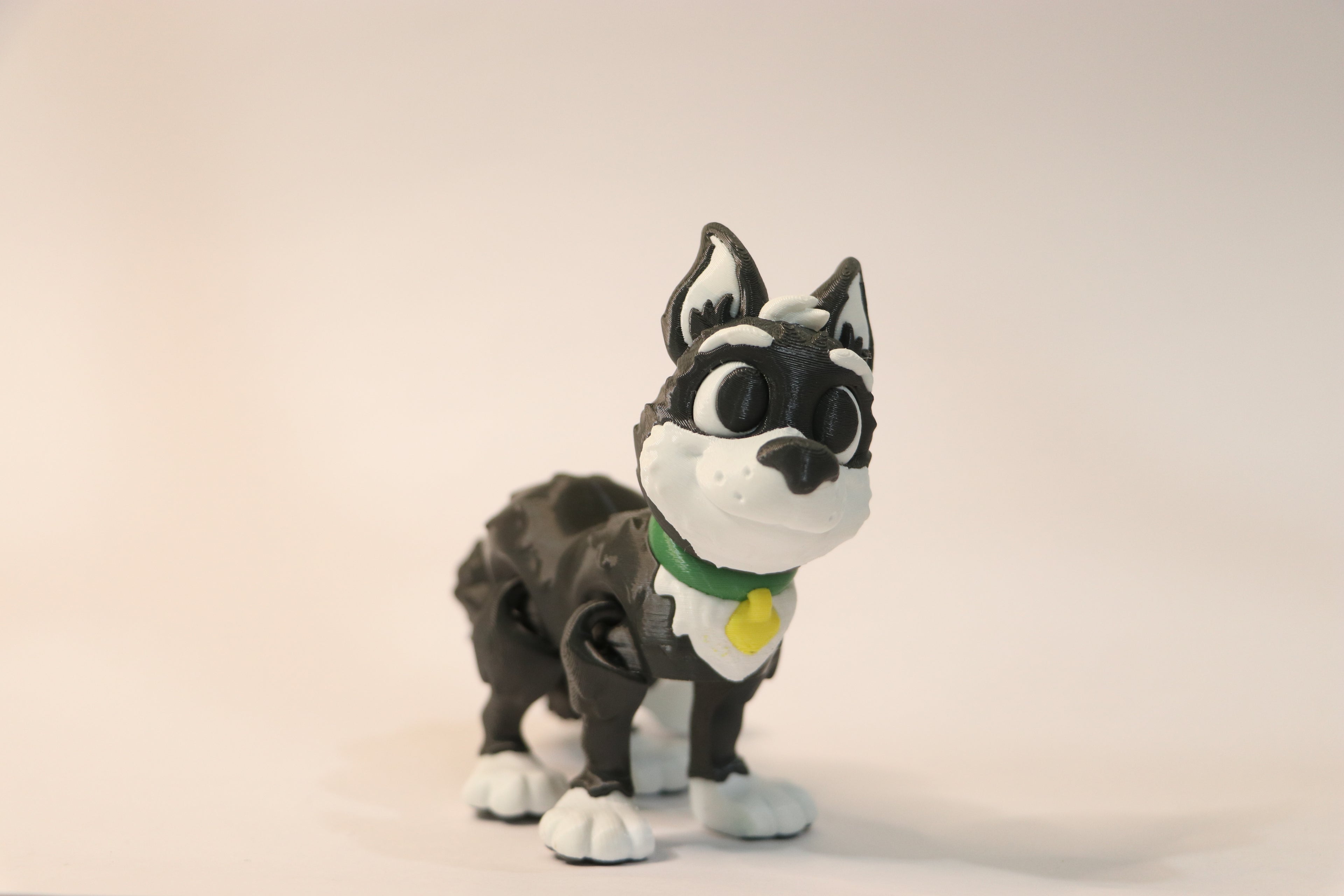 Puppy