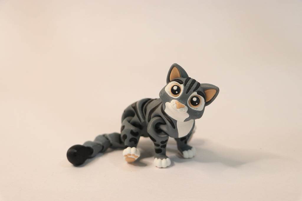 Flexi Cat