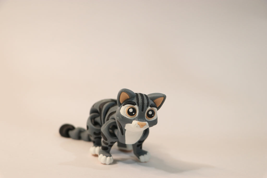 Flexi Cat