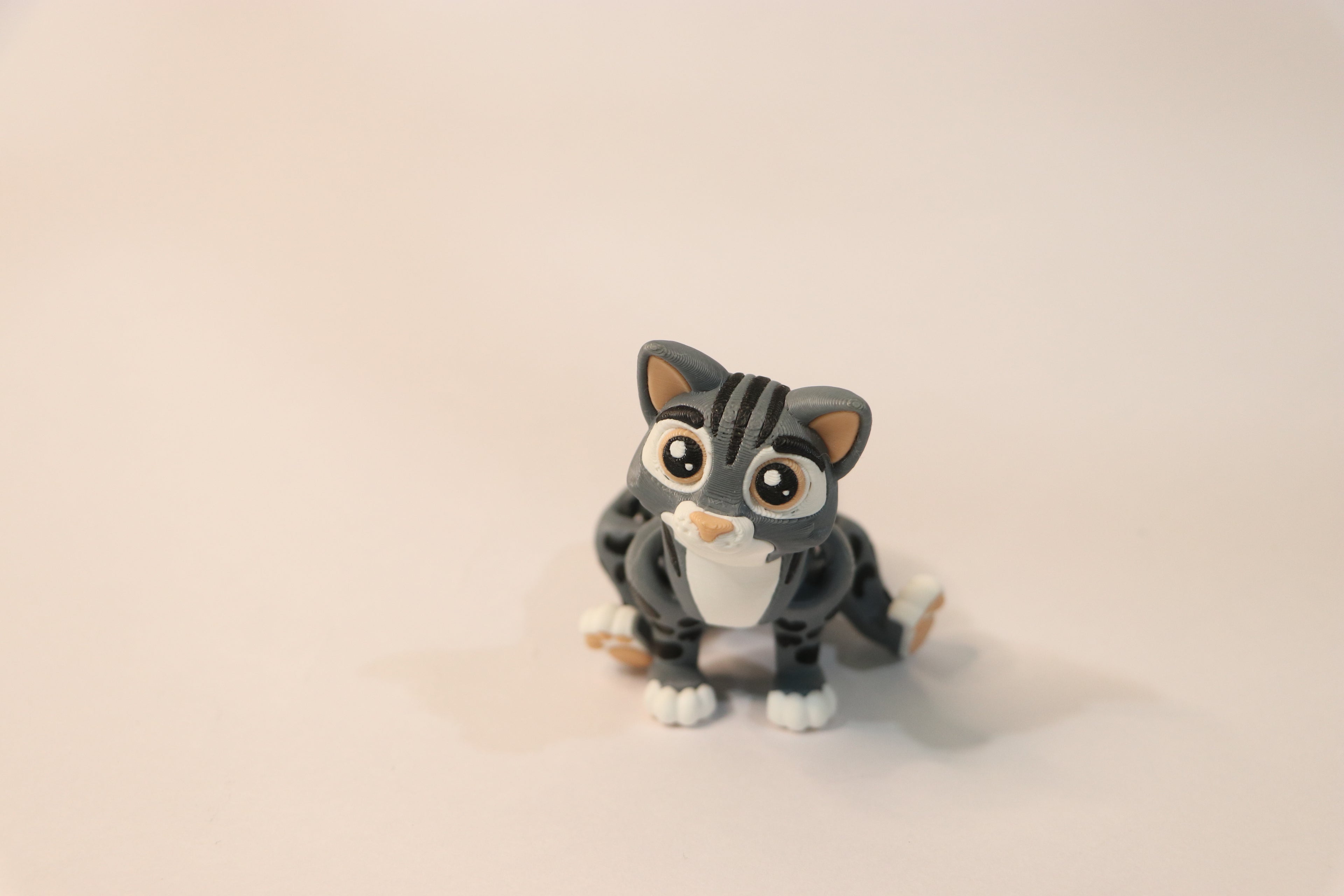 Flexi Cat