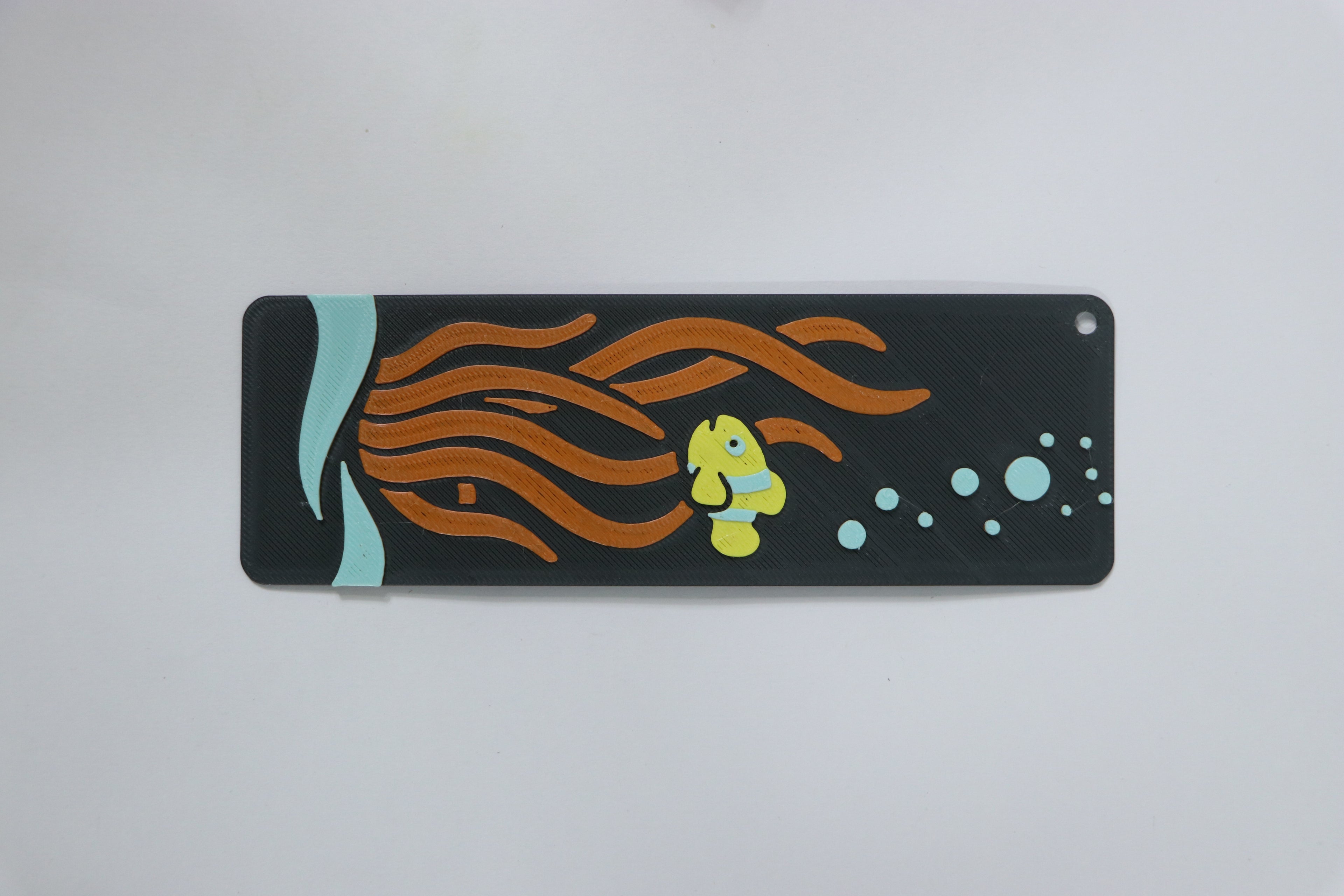 Coral watcher