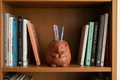 Racoon pen holder