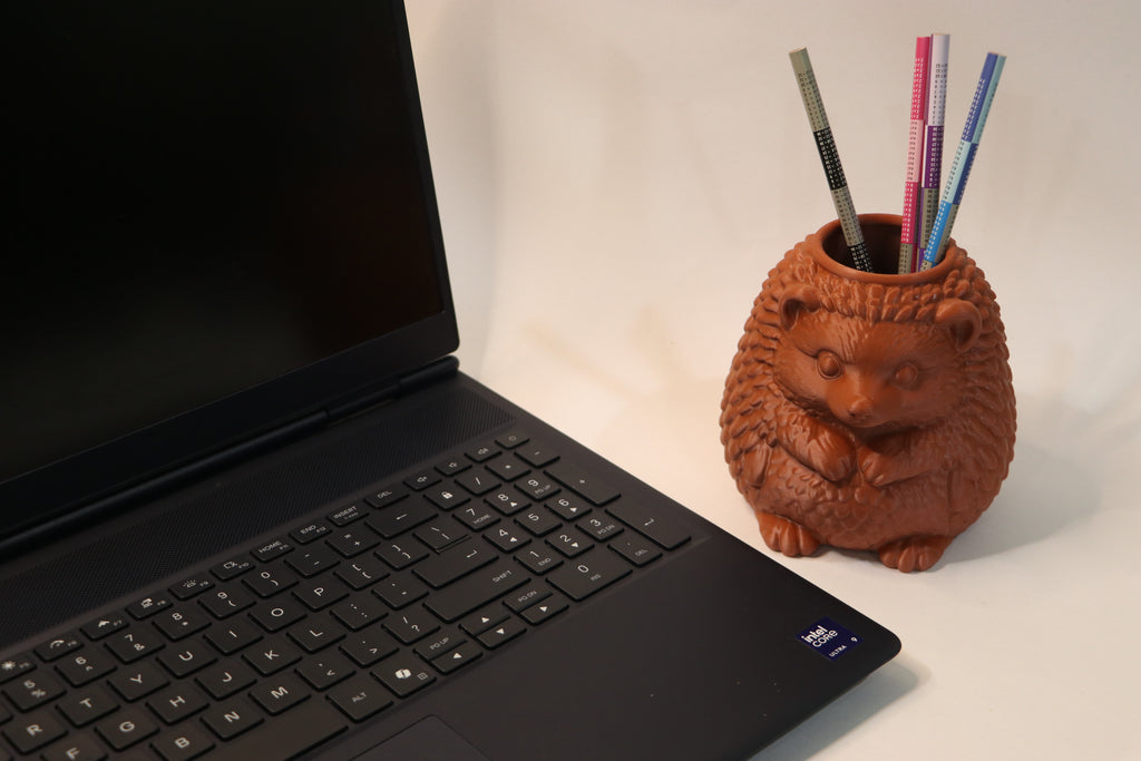 Racoon pen holder